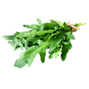 绿食者 芝麻菜250g 火箭菜德国芥菜 西餐蔬菜 新鲜蔬菜沙拉食材