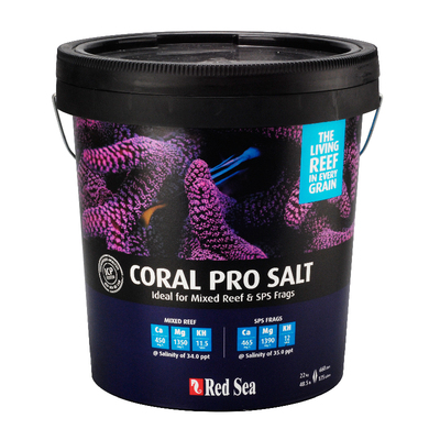 RedSea缸SPS硬骨高钙加强海盐