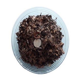 腐熟腐质橡树叶腐叶土松针君子兰花多肉花卉植物专用通用疏松透气