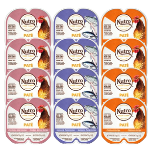 美士Nutro进口猫餐盒三文鱼吞拿鱼*12