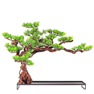 网红荔枝虾球妃子笑餐具个性迎客松根雕创意装饰树形位上明档摆盘