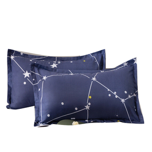 枕套枕头套成人一对装亲肤磨毛高支高密成人加大学生枕套枕芯套夏