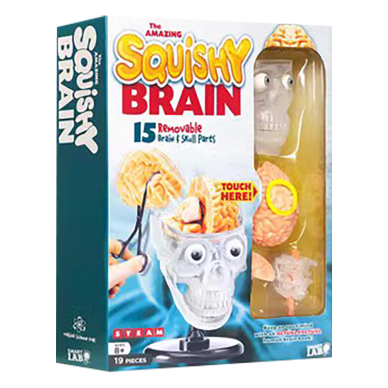 现货 英文原版 THEAMAZINGSQUISHYBRAIN 智趣实验室 大脑构造 儿童益智操作书 STEAM体系
