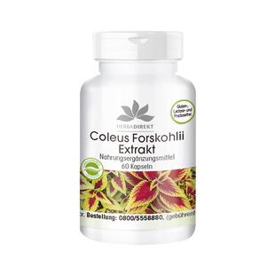 德国warnke眼压调节降眼压眼丸保健模糊干涩眼胀毛喉鞘蕊花叶黄素