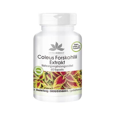 德国warnke眼压调节降眼压眼丸保健模糊干涩眼胀毛喉鞘蕊花叶黄素