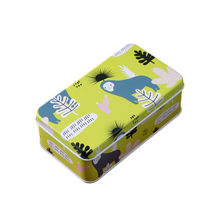 马口铁迷你小铁盒首饰发圈储物盒卡片贴纸回形针收纳盒长方形便携