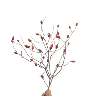 栀子干花天然树枝枯枝茶馆民宿会所玄关客厅禅意侘寂家居装饰摆件