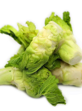 儿菜种子抱子芥娃娃儿菜四季蔬菜庭院阳台盆栽农家蔬菜种籽包邮