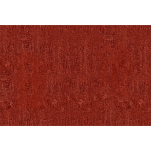 入户门地垫轻奢高级感门口进门专用红色脚垫室内新年地毯喜庆门垫