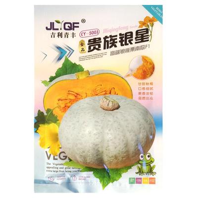 银栗南瓜种子新疆白皮银栗南瓜种籽板栗味香甜粉糯蔬菜四季包邮