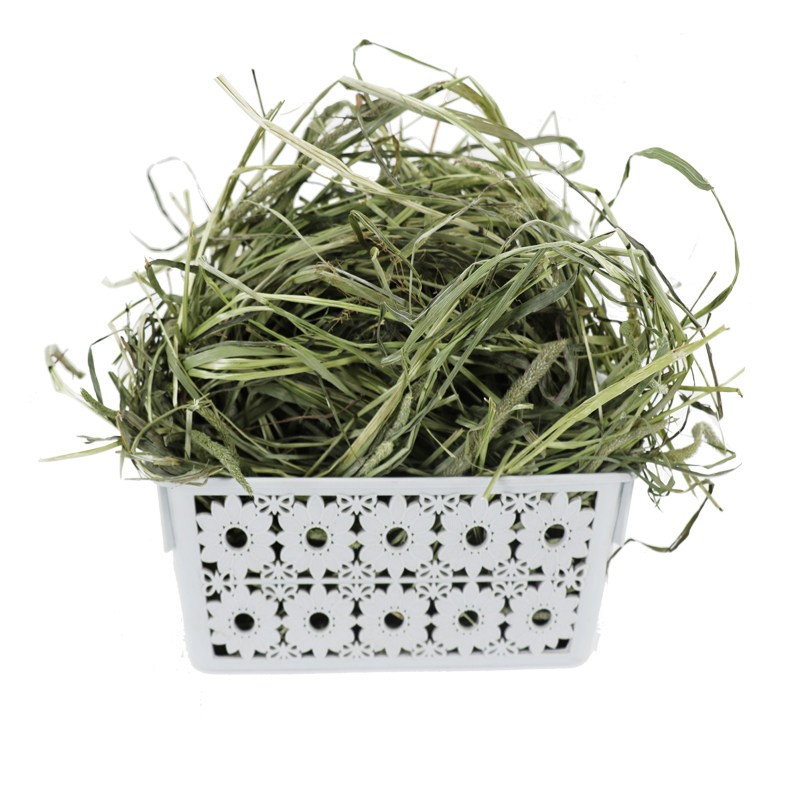 归乡提晒干提摩西草荷兰猪专用宠物草豚鼠兔草牧草饲料兔子干草粮