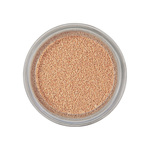 BBIA韩国进口水润气垫替换装持久遮瑕不脱妆保湿不拔干粉底SPF40