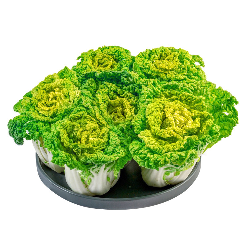 黄心乌菜种子乌塌菜种孑四季白菜苗满地金青菜蔬菜黑菜秋冬季菜籽