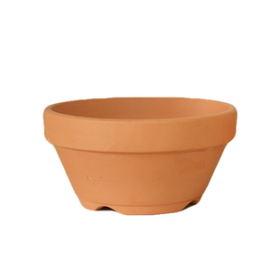 日式皋月杜鹃盆日本盆景造型红枫长寿梅真柏铝丝盆景浅盆透常滑烧