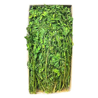 佩安友烘干苜蓿草幼兔龙猫牧草