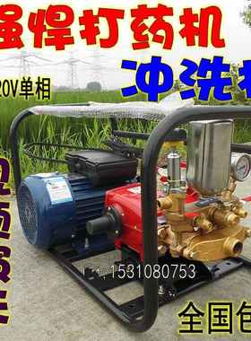 220V电动喷雾器农用高压打药机/高压洗车泵冲洗机养殖场冲洗