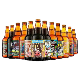 【进口】迷失海岸355ml*24瓶美国精酿IPA组合花生酱牛奶世涛啤酒