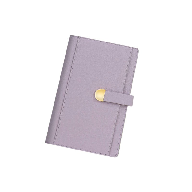 定期存单收纳本多功能票据存单夹银行纸质存单卡一体卡收藏册大容量收集存款存折存单支票专用夹子带密码锁