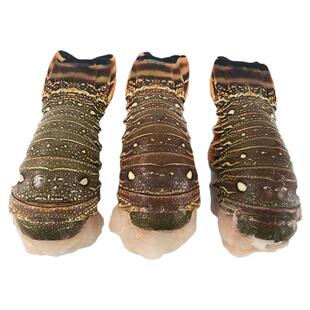 【小青龙虾尾/古巴龙虾】尾精选冷冻花龙虾澳洲大龙虾锦绣龙虾尾