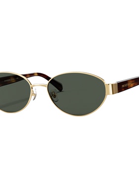 帕森26年新品高级感老钱风墨镜