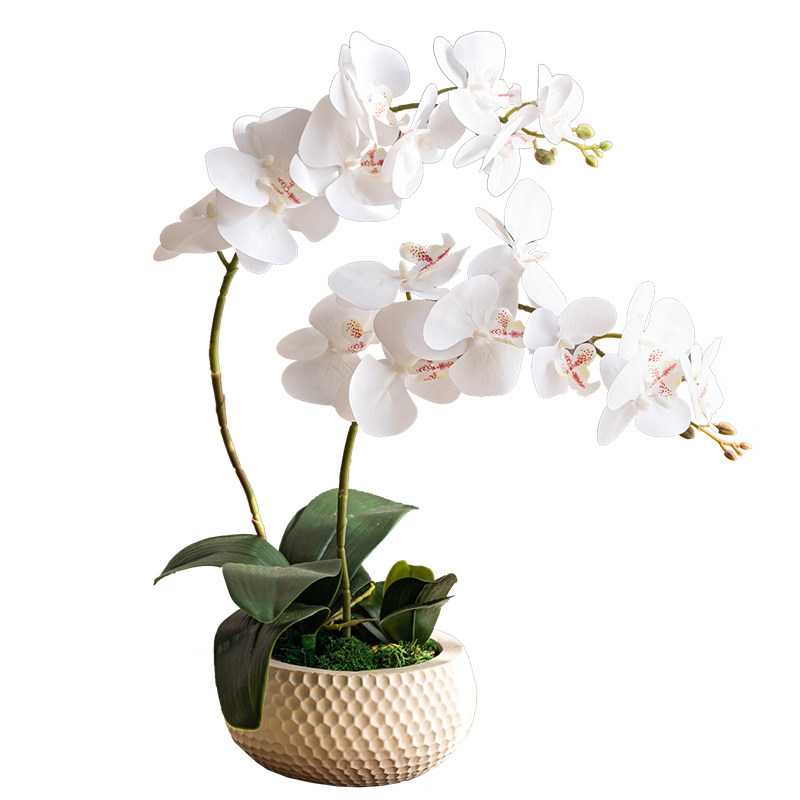 掬涵蝴蝶兰仿真花艺摆件盆景套装客厅餐桌茶几假花插花绢花装饰品