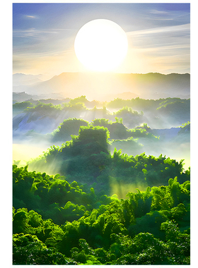 旭日东升绿色森林风景装饰画客厅玄关挂画靠山图招财聚财竖版壁画