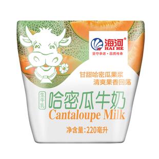 海河牛奶哈密瓜味可可巧克力18种口味10袋儿童学生早餐奶风味奶x