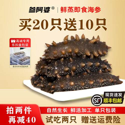 海参参阿婆鲜蒸海参即食海刺参买20送10头单只装非淡干可配礼盒
