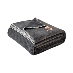 TeenieWeenie冬季加绒毛毯2025新款加厚盖毯沙发毯午睡小被子车用