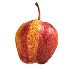 吉祥彩虹香梨当季新鲜水果红酥脆梨子整箱雪梨砀山梨贡梨批发