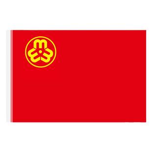妇联旗妇女联合会旗帜定制巾帼文明妇女协会制作安全厂旗3号4号5号志愿者服务队巾帼党员活动支部队旗带杆
