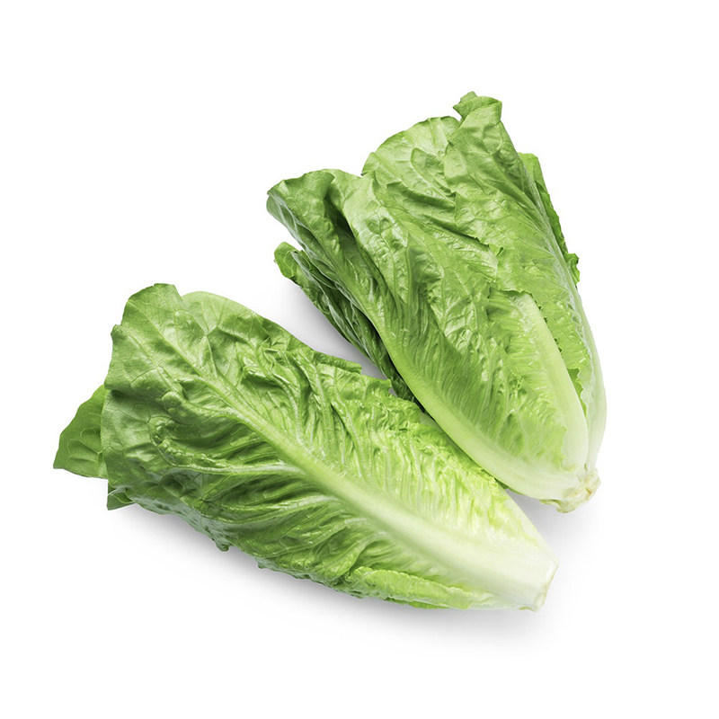罗马生菜新鲜罗纹生菜沙拉蔬菜