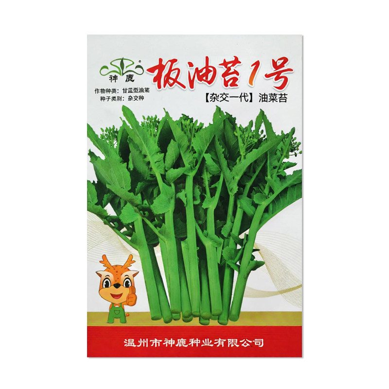 神鹿板油苔1号油菜苔种子
