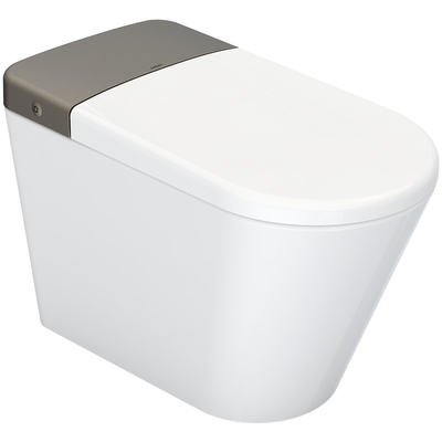 AXENT瑞士恩仕卫浴智能马桶