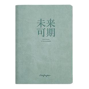 莱恩纸品加厚笔记本A5本子皮面日记本高级感记事本办公会议记录本高颜值摘抄本可定制横线本线条平摊不透墨