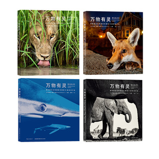 《万物有灵4册套装》 国际野生生物摄影年赛第51 53 54 55届获奖作品合集 照片附摄影参数 自然摄影书籍 后浪正版现货