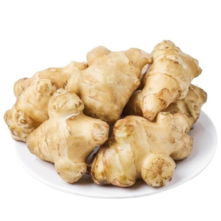 新鲜洋姜当季蔬菜现挖野生鬼子姜泡菜腌制菜菊芋腌酱泡番咸菜整箱