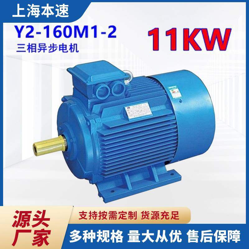 Y2系列马达三相异步电动机Y2-160M1-2 11KW 2极三相异步电机 本速