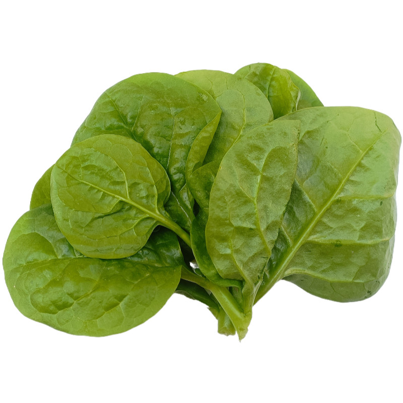木耳菜软浆叶四川时令新鲜蔬菜