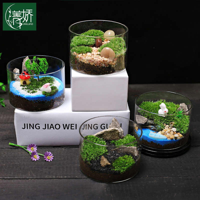 苔藓微景观生态瓶直筒盆栽植物DIY创意小绿植迷你摆件好养活青苔