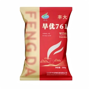 旱优761旱稻种子节水抗旱高产抗病抗倒优质长粒香米杂交水稻种籽