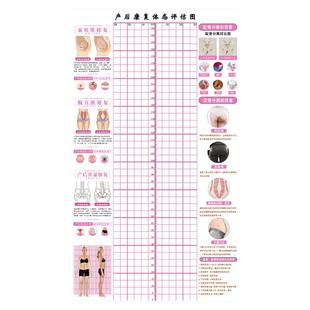 产后康复体态评估图修复体态矫正体姿对比体态分析测评表定制图表