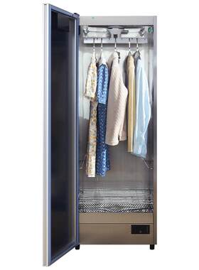 皓金烘衣服免熨烫家用除皱干衣机