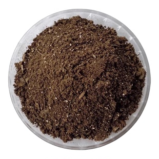 香橼树香泡树营养花土家用庭院盆栽绿植物专用有机种植土疏松透气