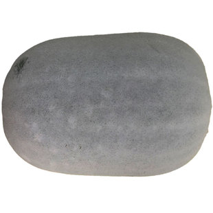 冬瓜种籽特大巨型种白皮种子孑粉皮大农家四季春夏秋瓜果蔬菜种子