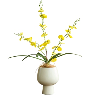 南十字星 跳舞兰兰花盆景仿真花高级感逼真客厅餐桌玄关假花摆件