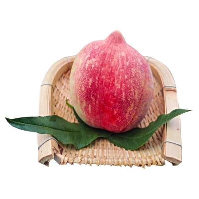 云南特产脆桃香甜整箱水果包邮