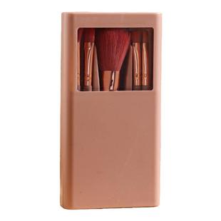 新款5支带镜子化妆刷套装软毛遮瑕刷鼻影刷便携旅行收纳盒散粉刷