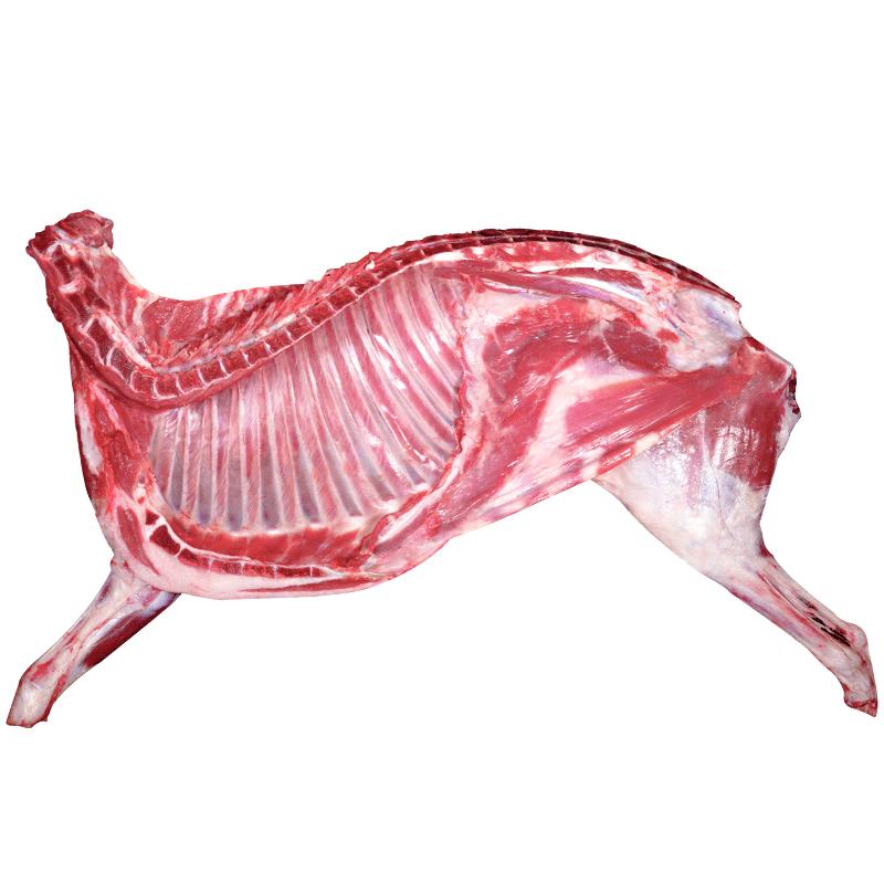 羊肉新鮮半只羊10斤生羊肉手抓羊肉羊后腿羊排羊蝎子火鍋年貨禮盒