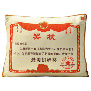 奖状抱枕生日礼物妈妈送爸爸实用党员退休退伍纪念品年会员工礼品